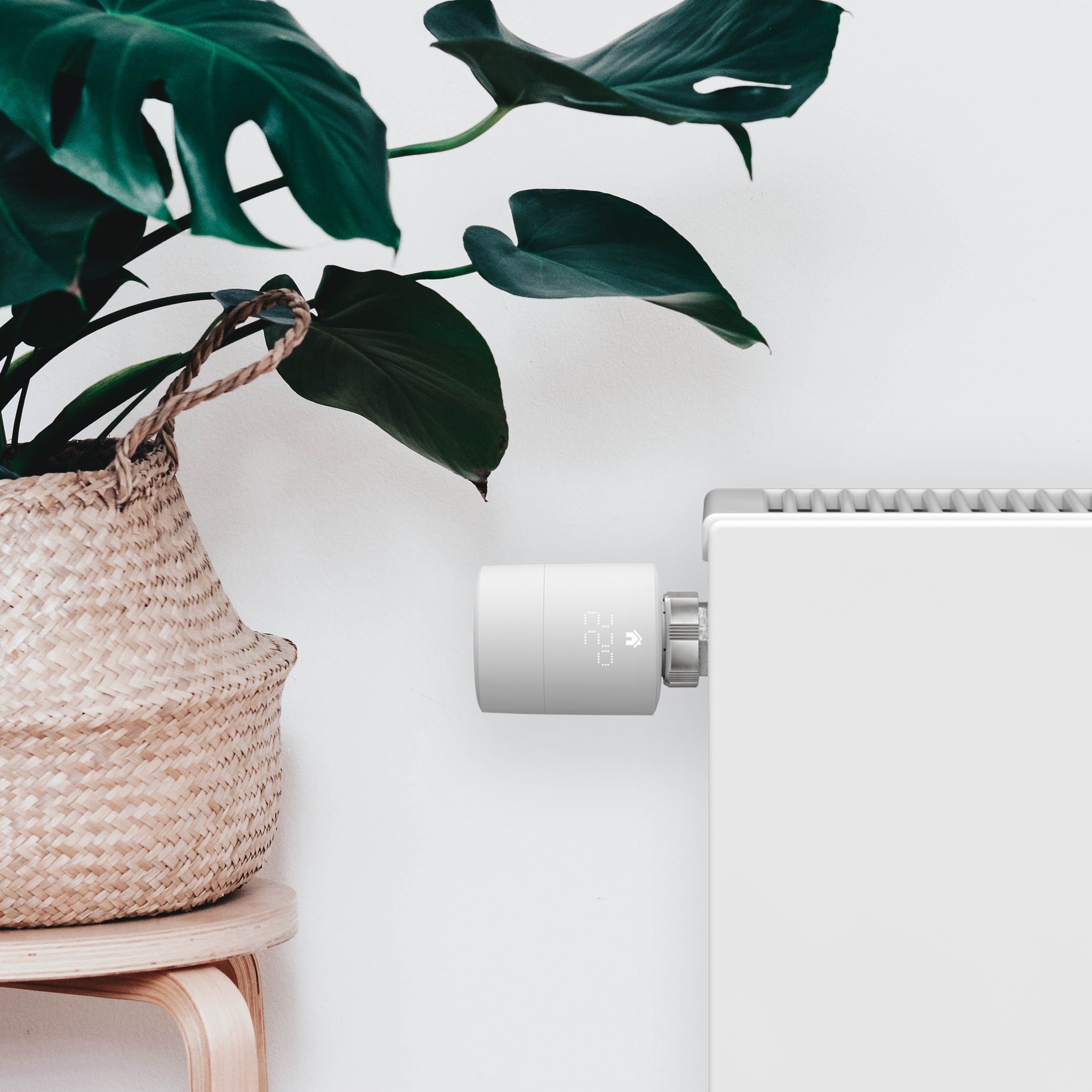 Tado Heizkörperthermostat Smartes Heizkörper-Thermostat - Zusatzprodukt zur Einzelraumsteuerung, (1 St)