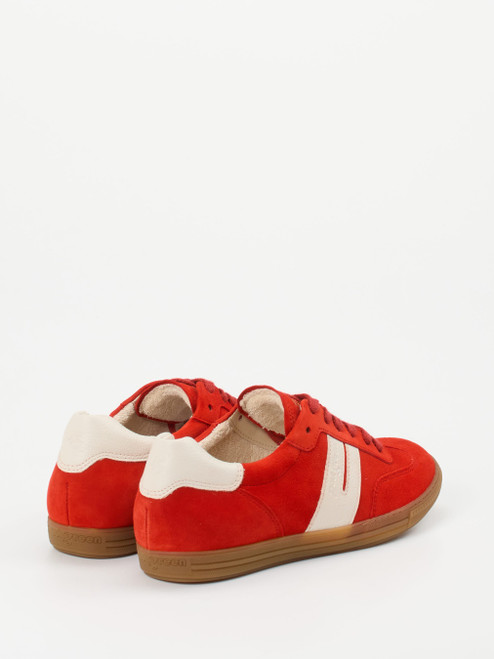 Sneaker-16615590037 Paul Green