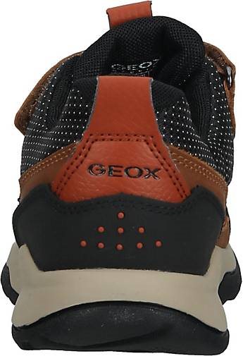 Geox Sneaker