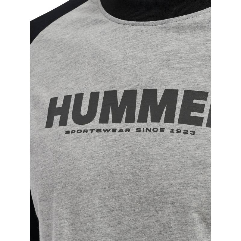 hummel hmlLEGACY BLOCKED T-SHIRT L/S T-Shirt