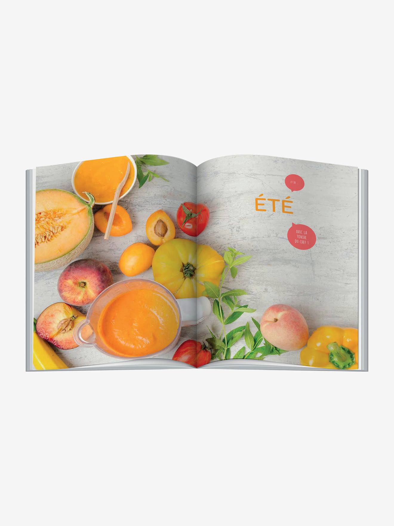 Livre Mes premiers repas avec Babycook® BEABA gris