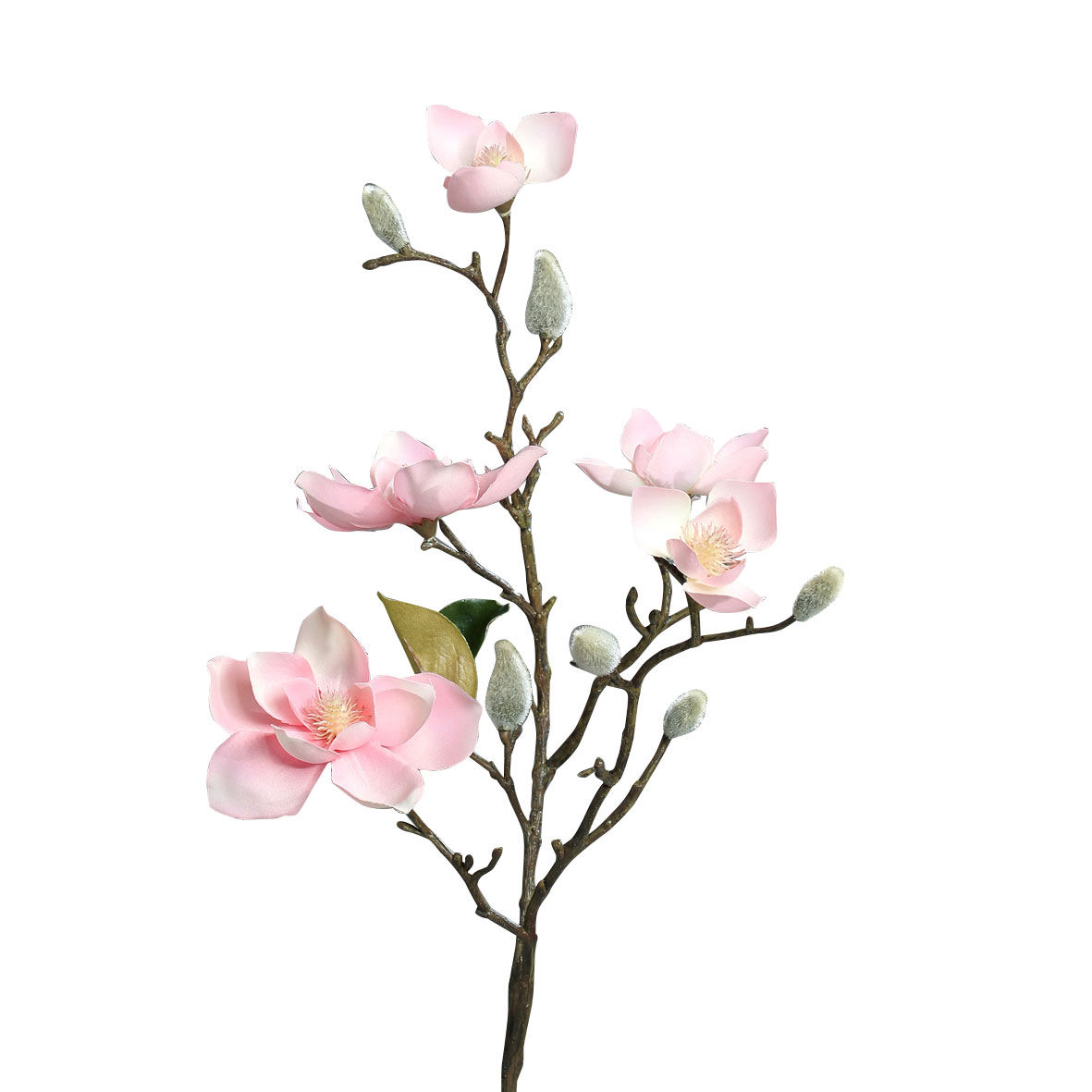 DPIMagnolie 64cm
