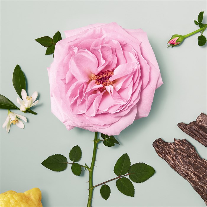 Eau de Parfum Spray Naturelle