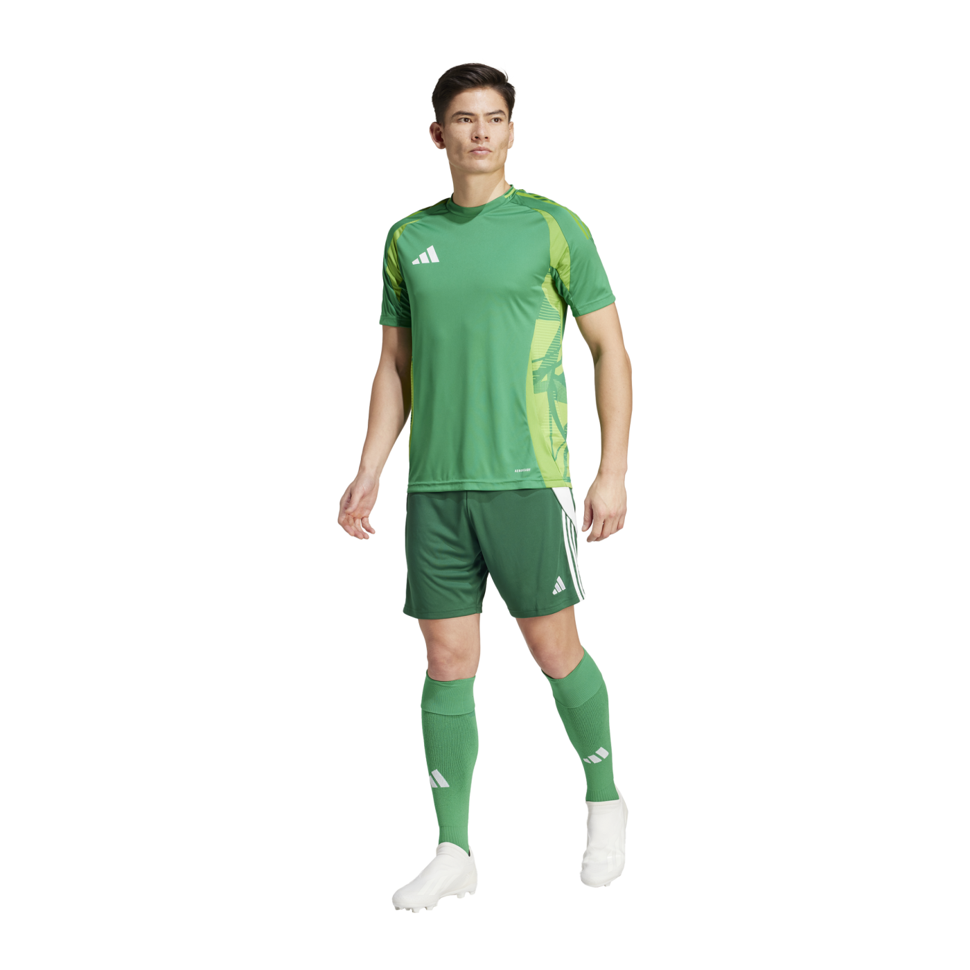 adidas Tiro 24 Short Grün Weiss