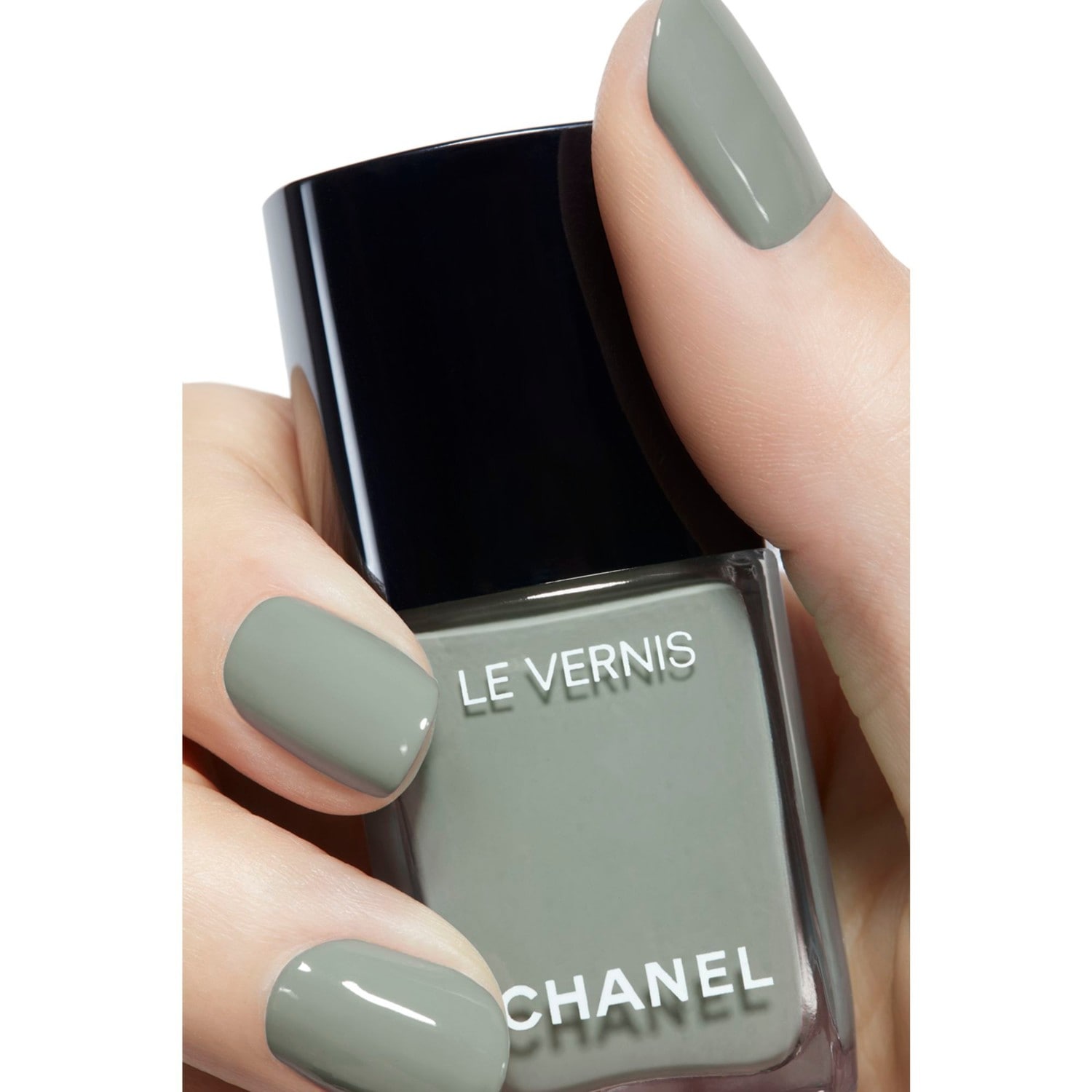 LE VERNIS