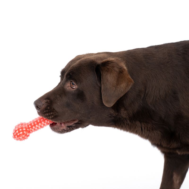 TIAKI Hundespielzeug TPR Knochen zu TOP-Preisen