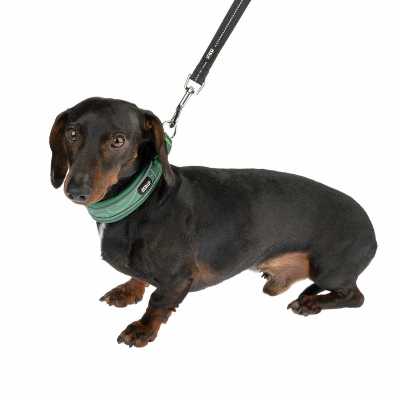 TIAKI Halsband Soft & Safe, grün zu TOP-Preisen