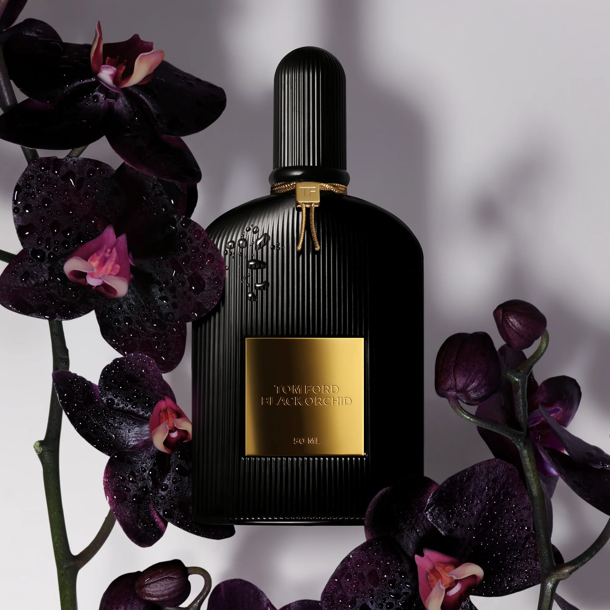 Signature Black Orchid - Eau de Parfum, Eau de Parfum Unisex