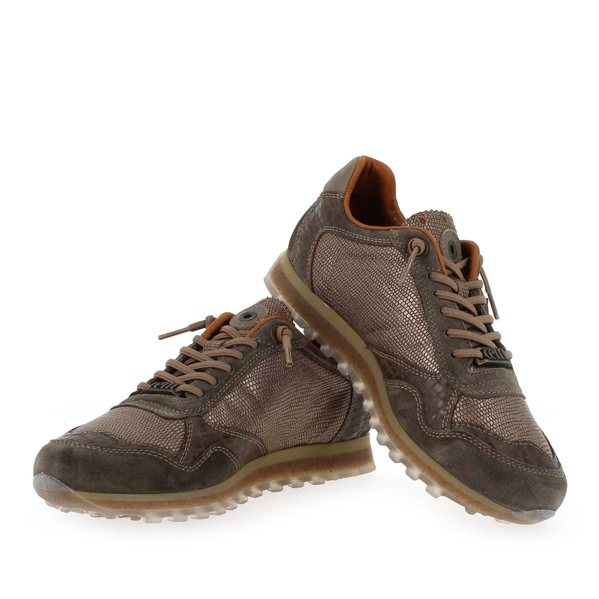Cetti  C848 SRA H23 - Taupe Bronze