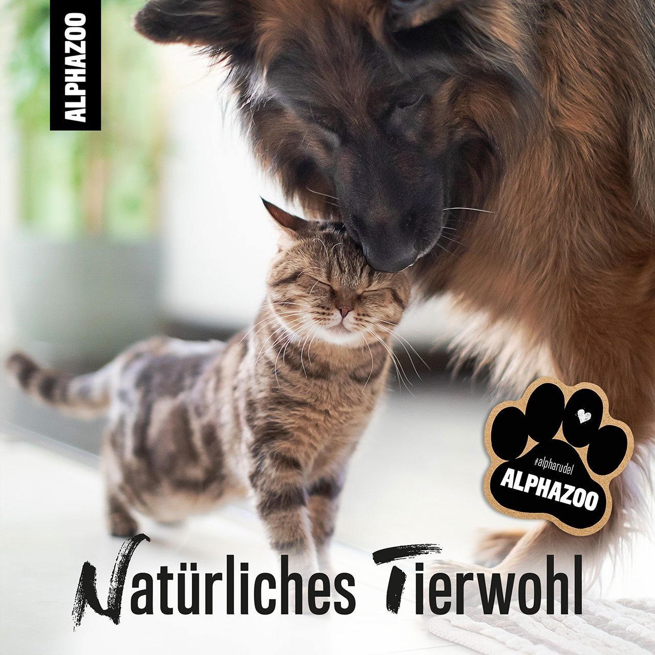 ALPHAZOO Fellpflege ALPHAZOO Brandlöscher 200ml - Juckreiz-Spray, Fellpflege-Spray für Hunde, Katzen, Haus- und Hoftiere 500 ml