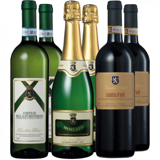 Cavalier Dario Kennenlern-Paket - Cavalier Dario