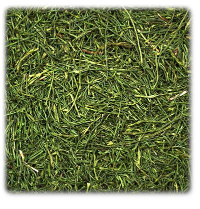 Doppelpack JR Farm Raufutter