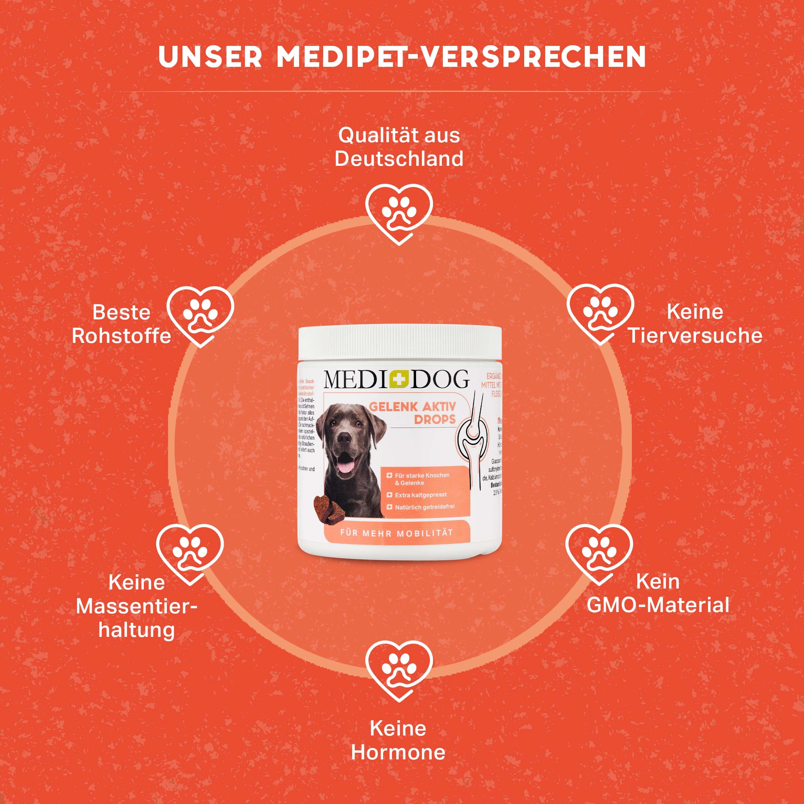 MediDog Ergänzungsfutter & Aufzucht MediDog Gelenk Aktiv Drops