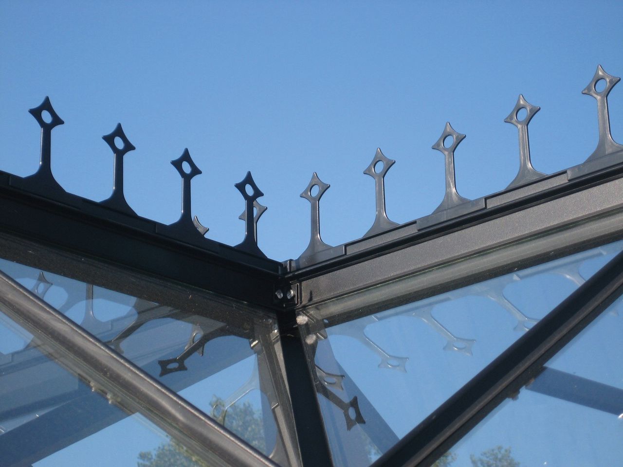 Vitavia Firstkrone, schwarz für Sirius