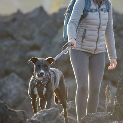 Ruffwear Geschirr Front Range, Twilight Gray