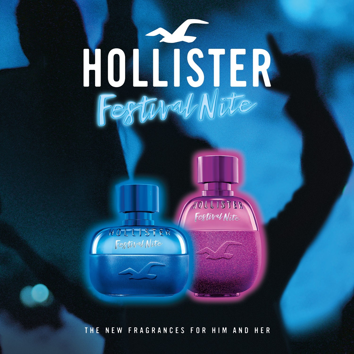 Hollister Festivalska večer za njega