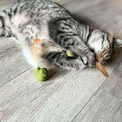 Aumüller Silvervine Dentalspielzeug 2er Set Vögelchen