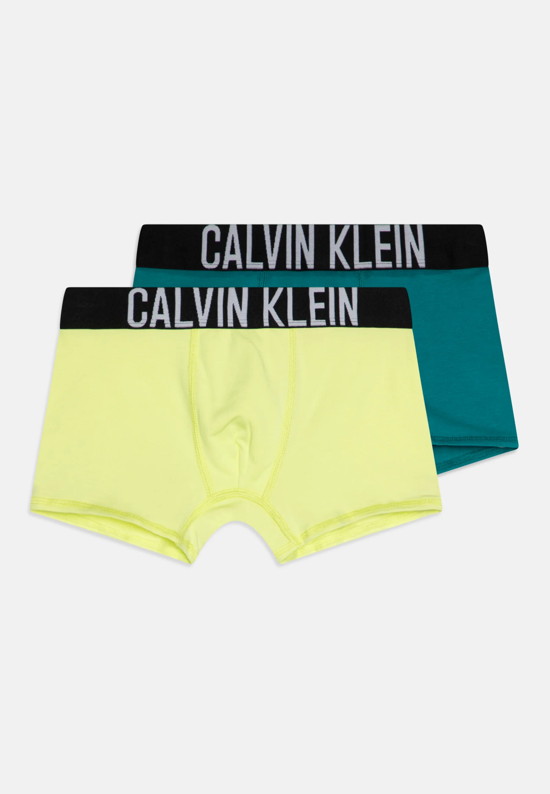 Calvin Klein Underwear TRUNK PACK DE 2 - Culotte