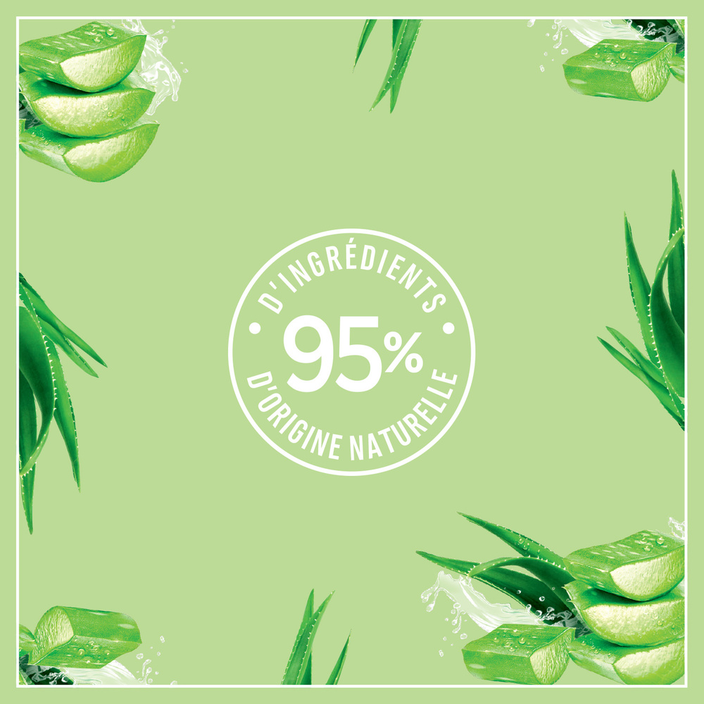 le petit marseillais Lait Corps Hydratant à l'Aloe Vera pourPeaux Sèches Bio 250 ml Lait corps