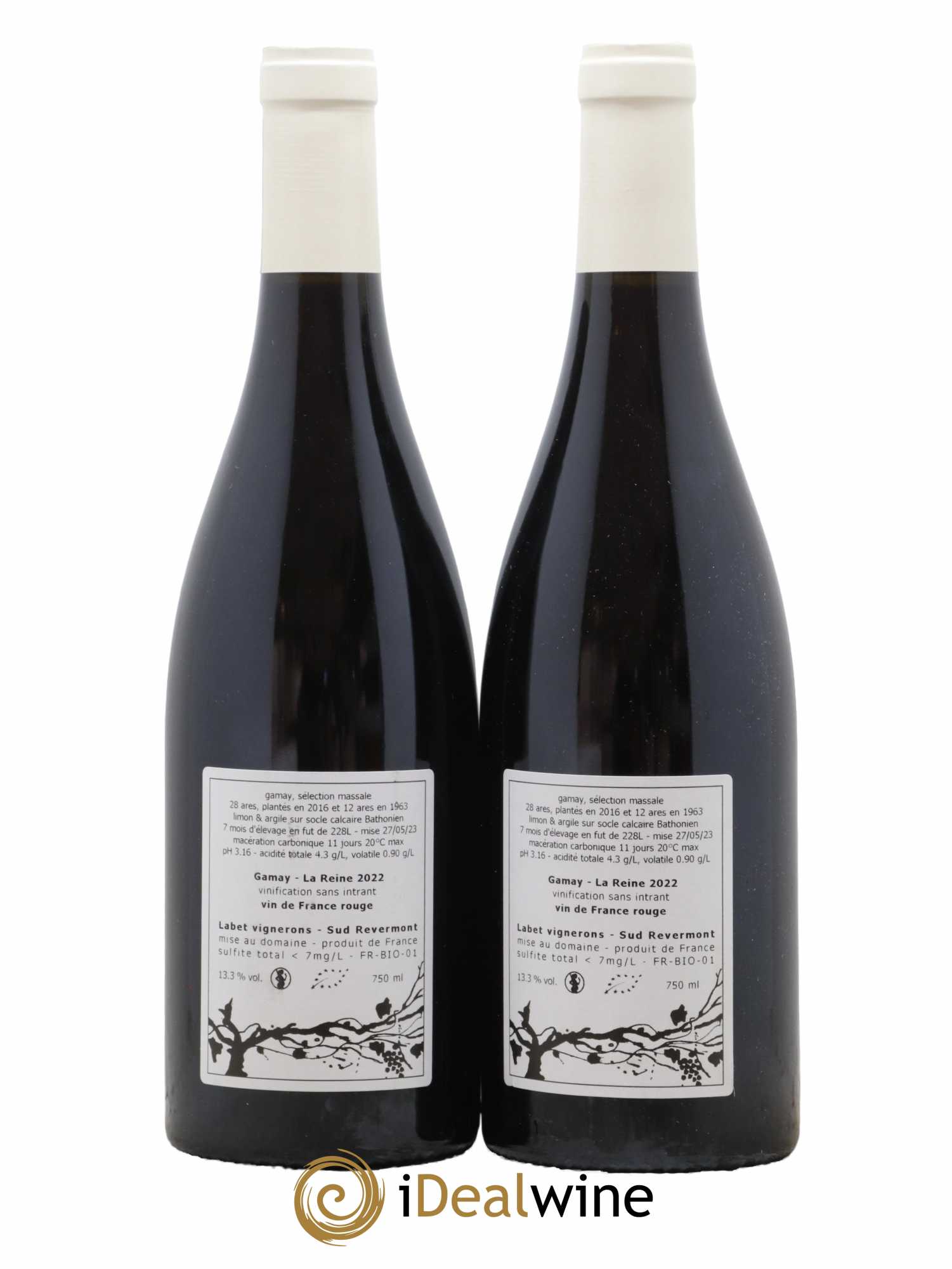 Vin de France Gamay La Reine Labet (Domaine)  2022 - Lot de 2 Bouteilles