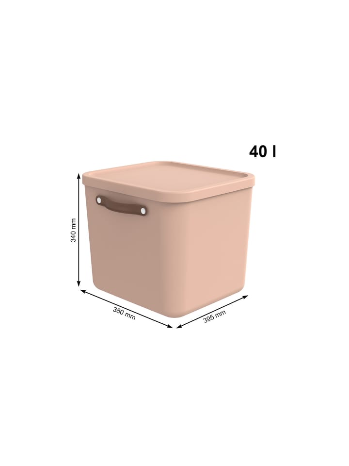 Rotho Aufbewahrungsbox mit Deckel 40 l MALOJA in Meadow rose günstig kaufen onesize
