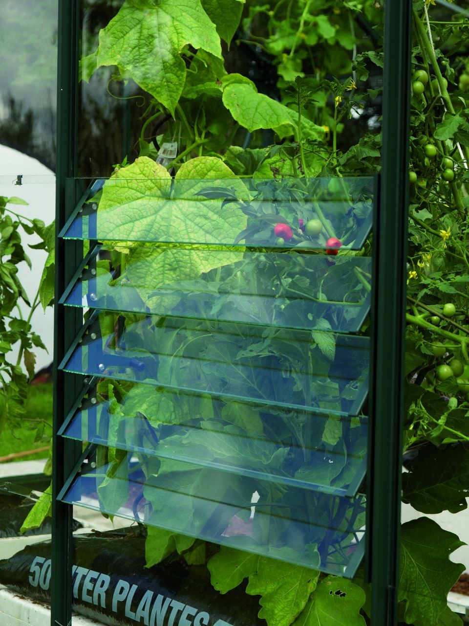Vitavia Lamellen-Wandfenster, grün, mit ESG