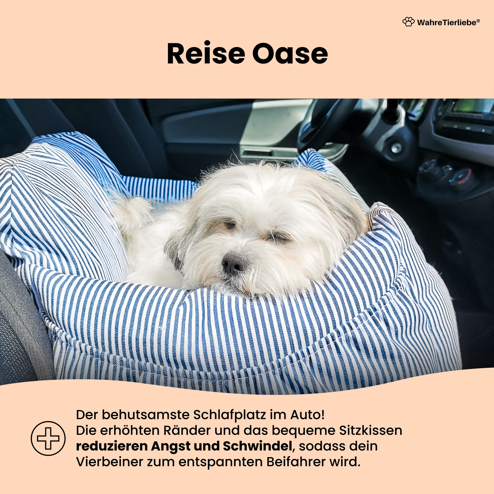 Wahre Tierliebe Hunde-Transportbox Hunde Autositz inkl. Sicherheitsgurt, Verschiedene Größen, Verschiedene Farben