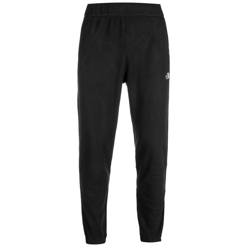 The North Face 100 Glacier Trainingshose Herren