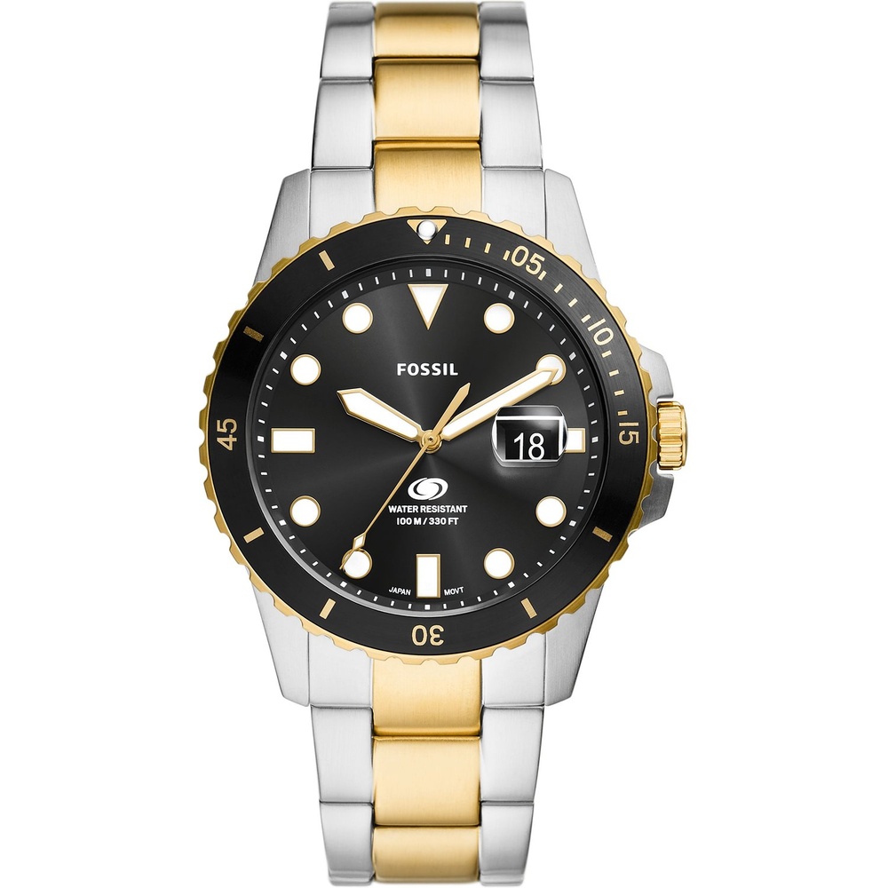 Fossil Montre pour hommes Acier inoxydable Montre