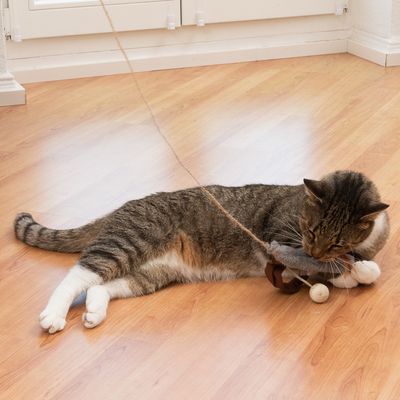 TIAKI Katzenangel Plüsch & Feder