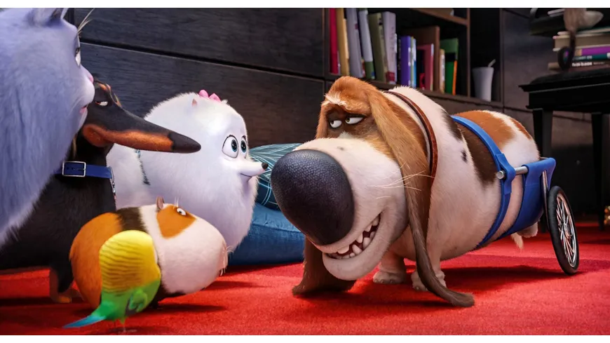 Pets (Illumination)
