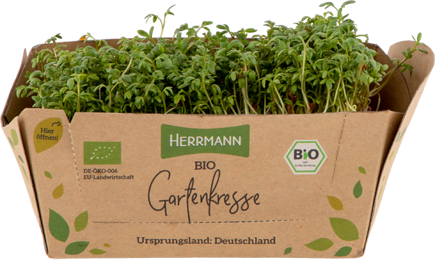 Bio Gartenkresse