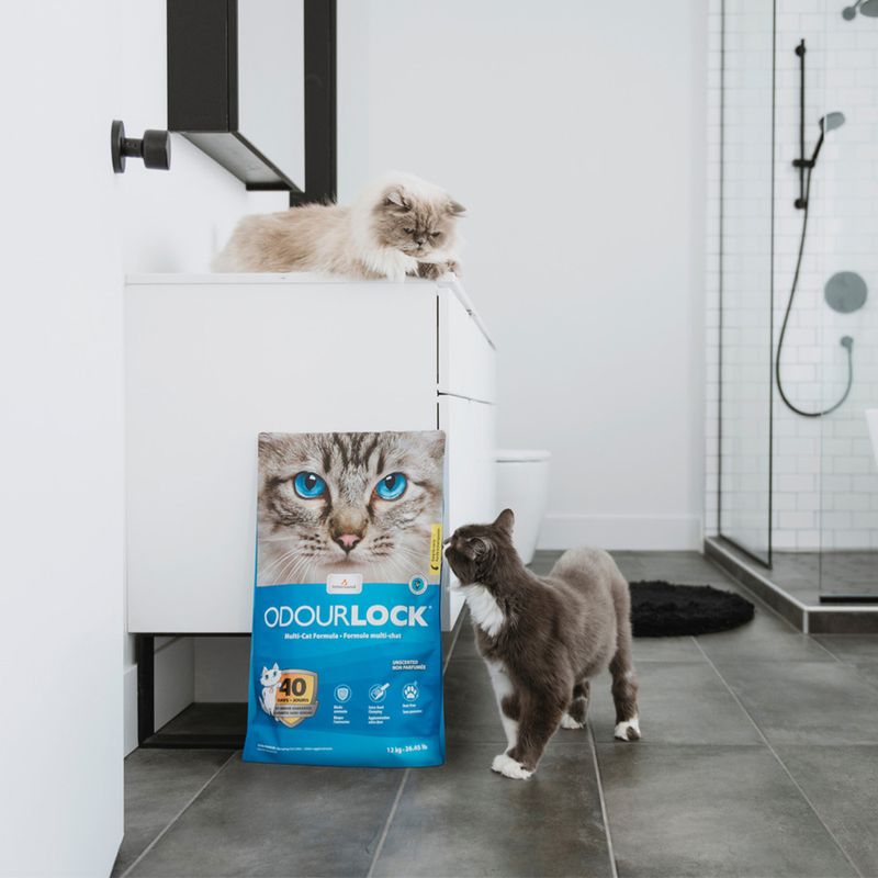 ODOURLOCK Katzenstreu Parfümfrei zu TOP-Preisen