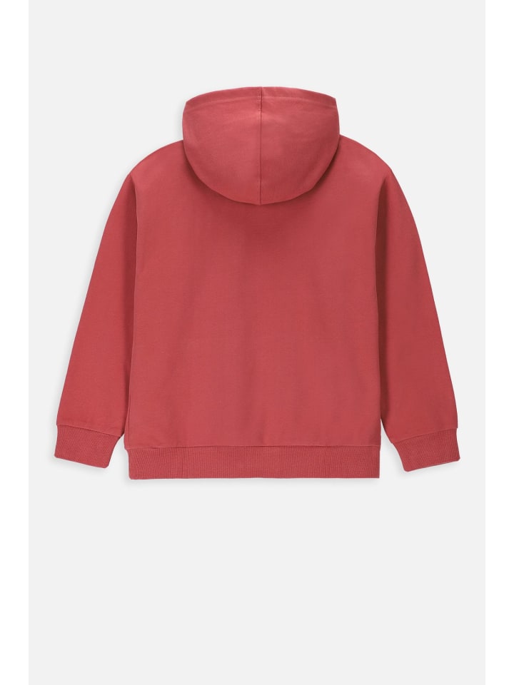 Coccodrillo Sweatshirt in dunkelrot günstig kaufen