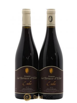 IGP Pays d'Hérault L'Enclos Terrasse d'Elise (Domaine de la)  2016 - Lot de 2 Bouteilles