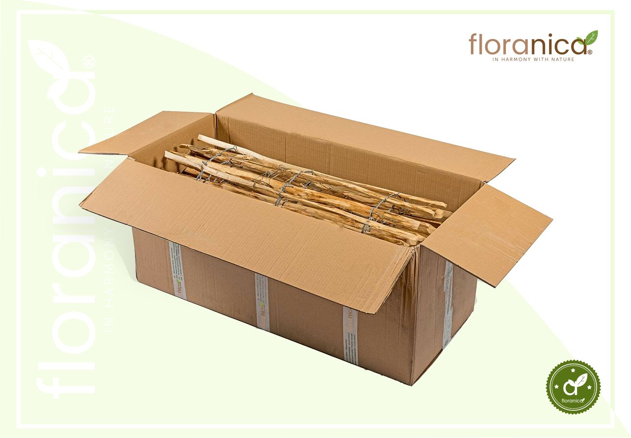 Pemicont Floranica Haselnussholz Rollzaun Imprägnierter Gartenzaun 2 Höhen Blumenbeet Palisade Tierschutz Barriere Lattenabstand: 4 6 cm Höhe: 50 cm hoch x lfm (Menge)