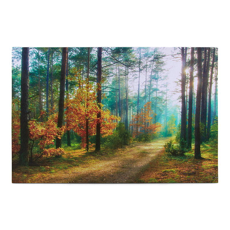 Home Canvasbilde 38x58 cm LED/fiberoptik Autumn