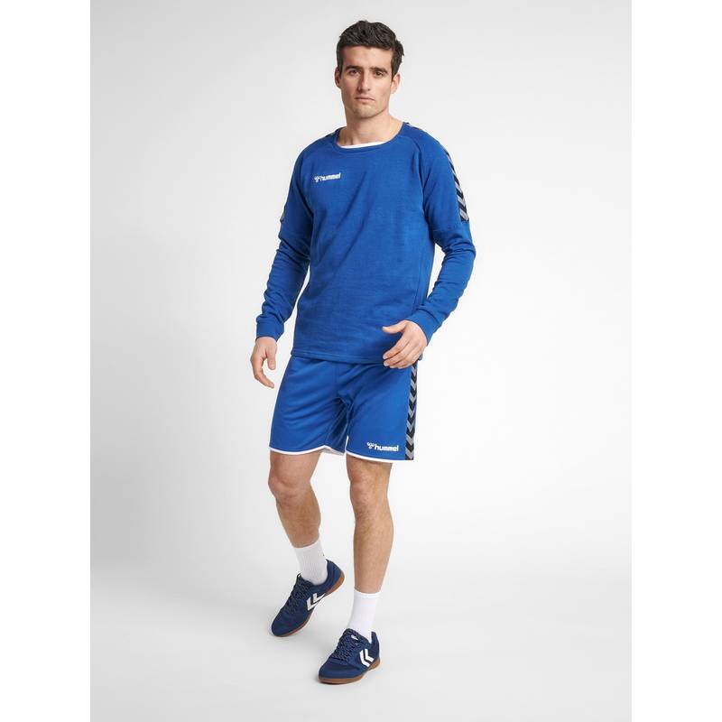 hummel hmlAUTHENTIC TRAINING SWEAT Sweatshirt Herren