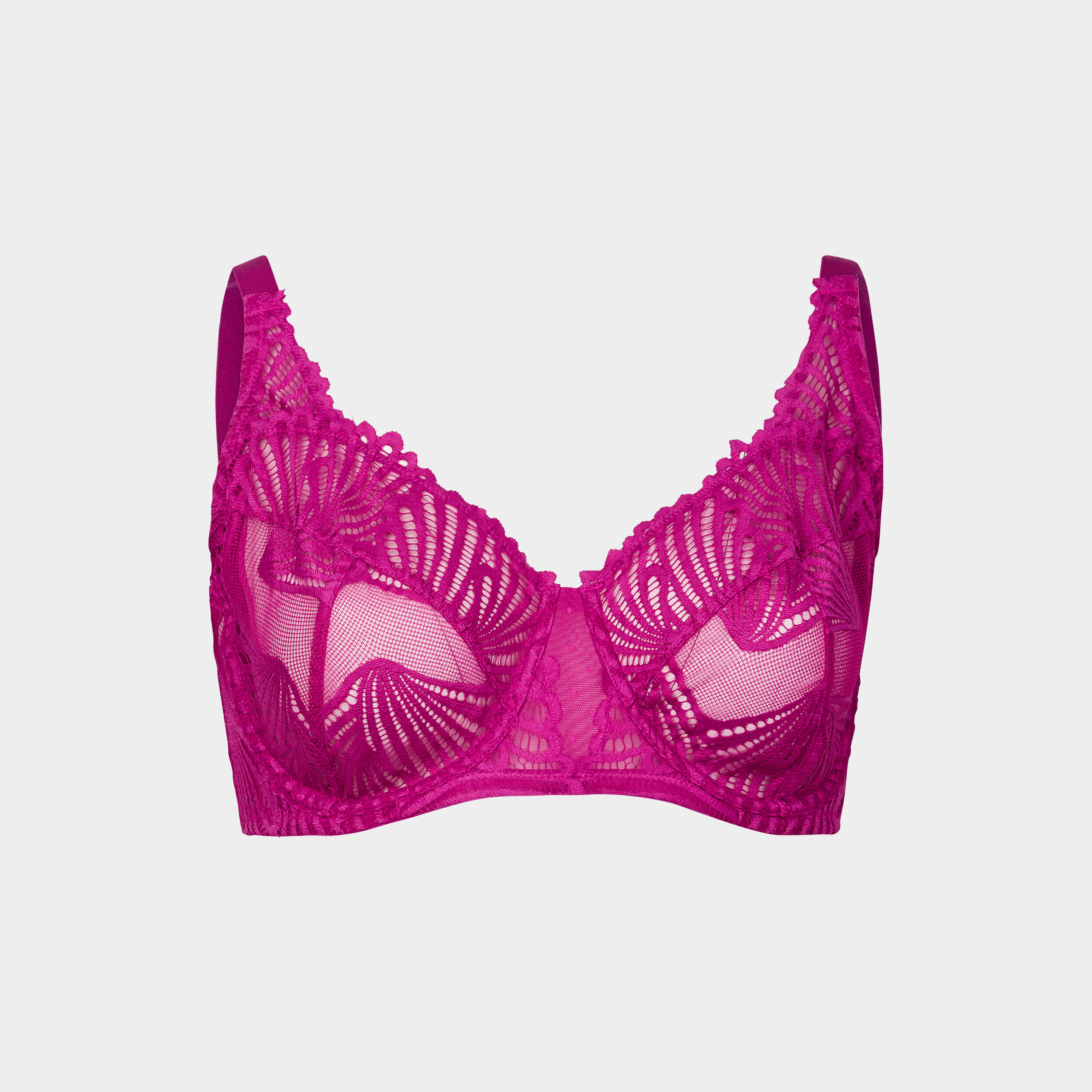 Soutien-gorge corbeille dentelle Ingrid violet femme grande taille | La Halle