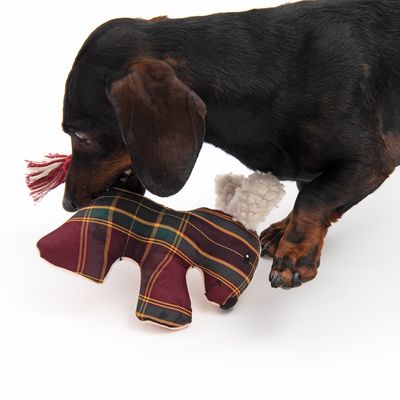 TIAKI Hundespielzeug Weihnachtshund