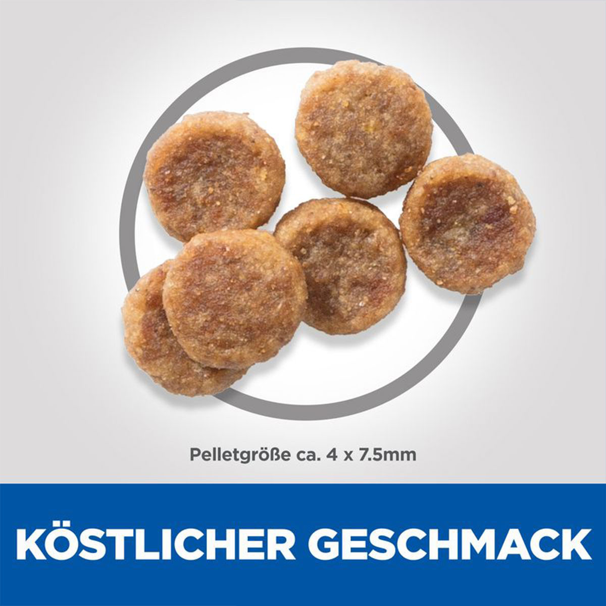Hill's Science Plan Small&Mini Adult Huhn kaufen bei ZooRoyal