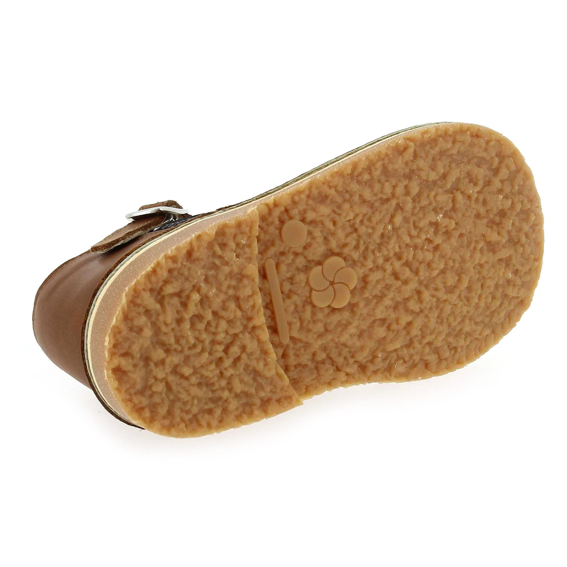 Aster  BIMBO - Cognac