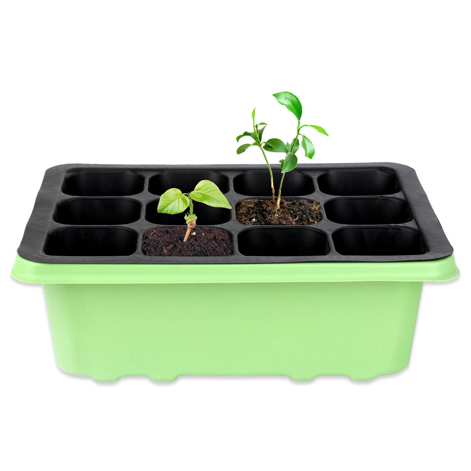 Schramm Frühbeet Schramm® Zimmergewächshaus ca. 19x15x7cm Anzuchtkasten 1, 2 oder 4 Stück Mini Gewächshaus Anzuchtset Anzuchtschale mit Deckel und Belüftung (1 St)