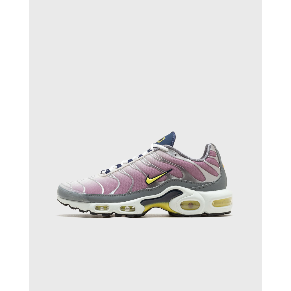 Nike Air Max Plus Violet Dust FN8007-500 / bunt