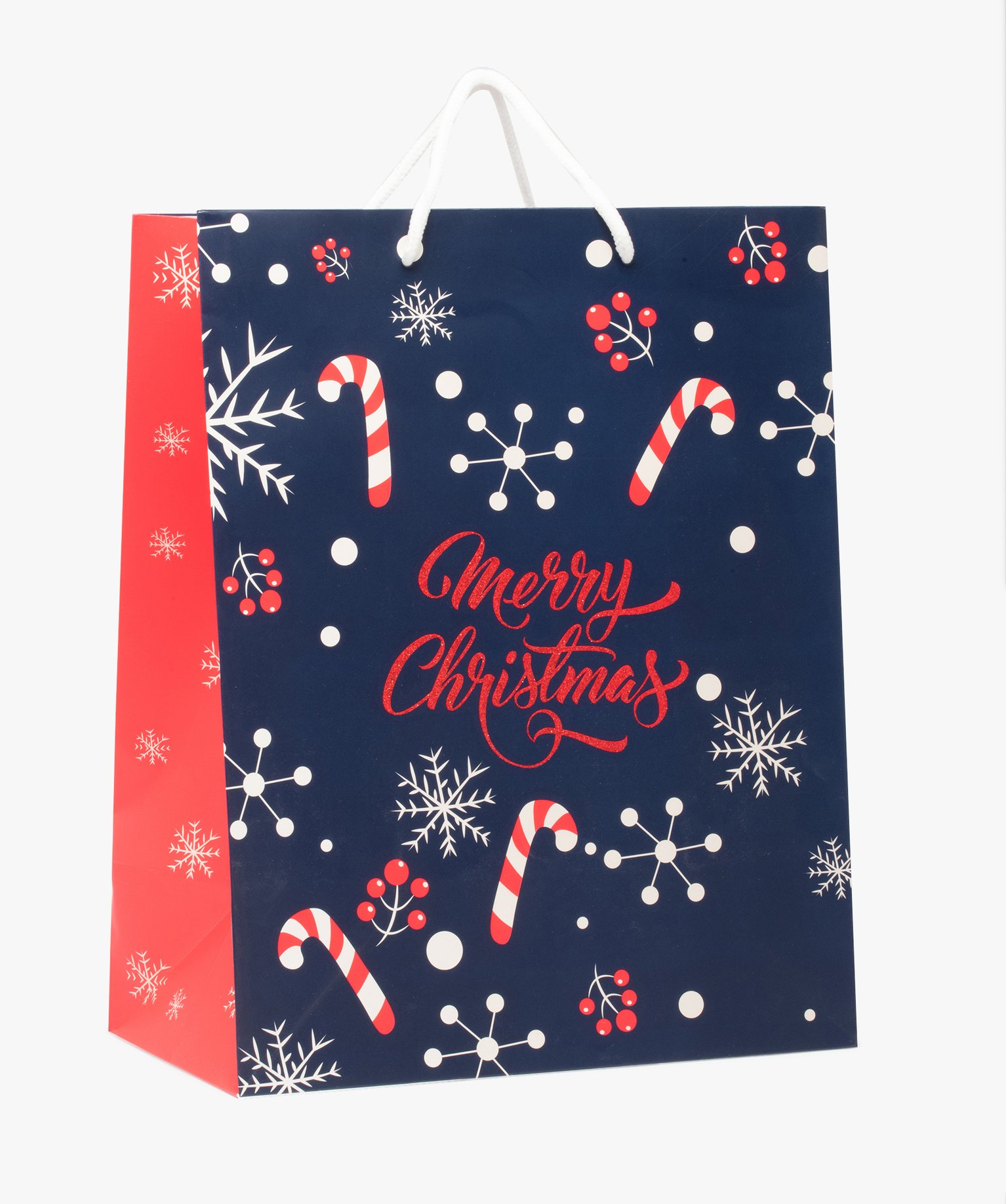 Sac cadeau imprimé spécial Nol bleu | GEMO