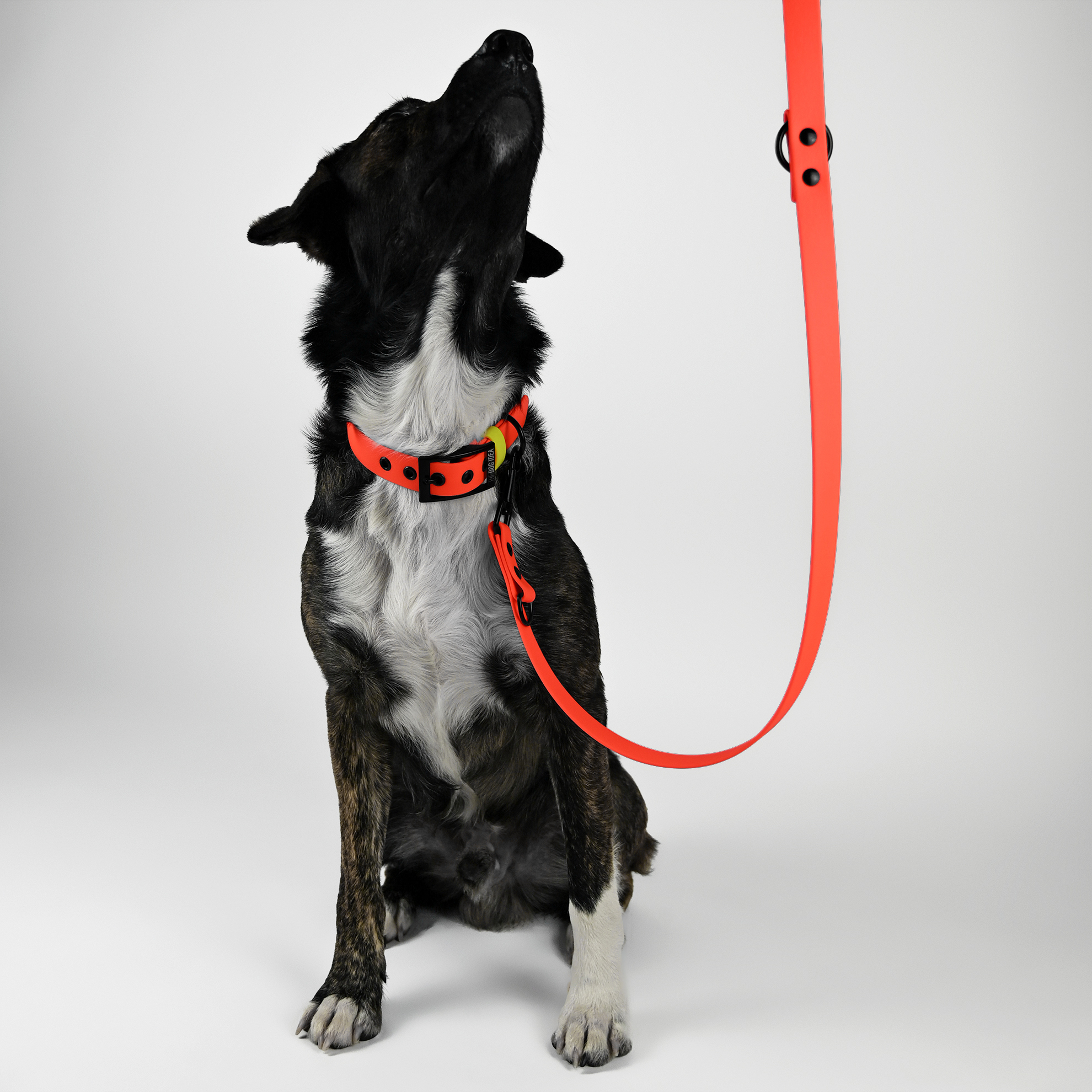 THE DOG IDEA Hundeleinen THE DOG IDEA Biothane Hundeleine Orange neon gelb