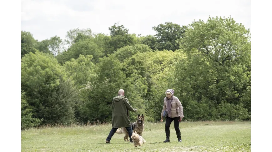 Mit Herz und Hund