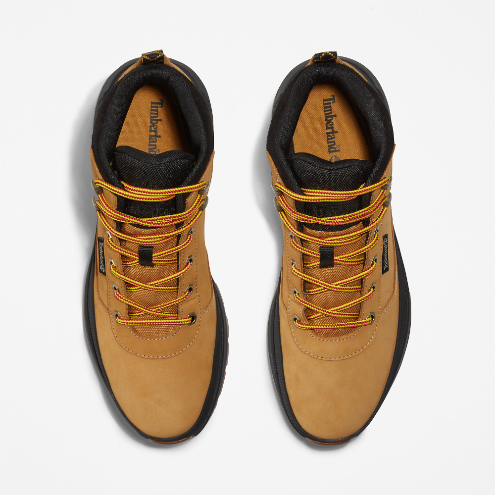 Timberland Field Trekker Mid TB0A1ZQH2311 / braun