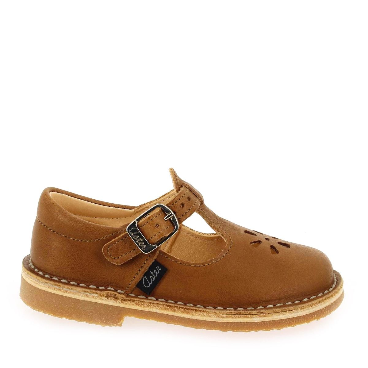 Aster  DINGO 2 - Cognac