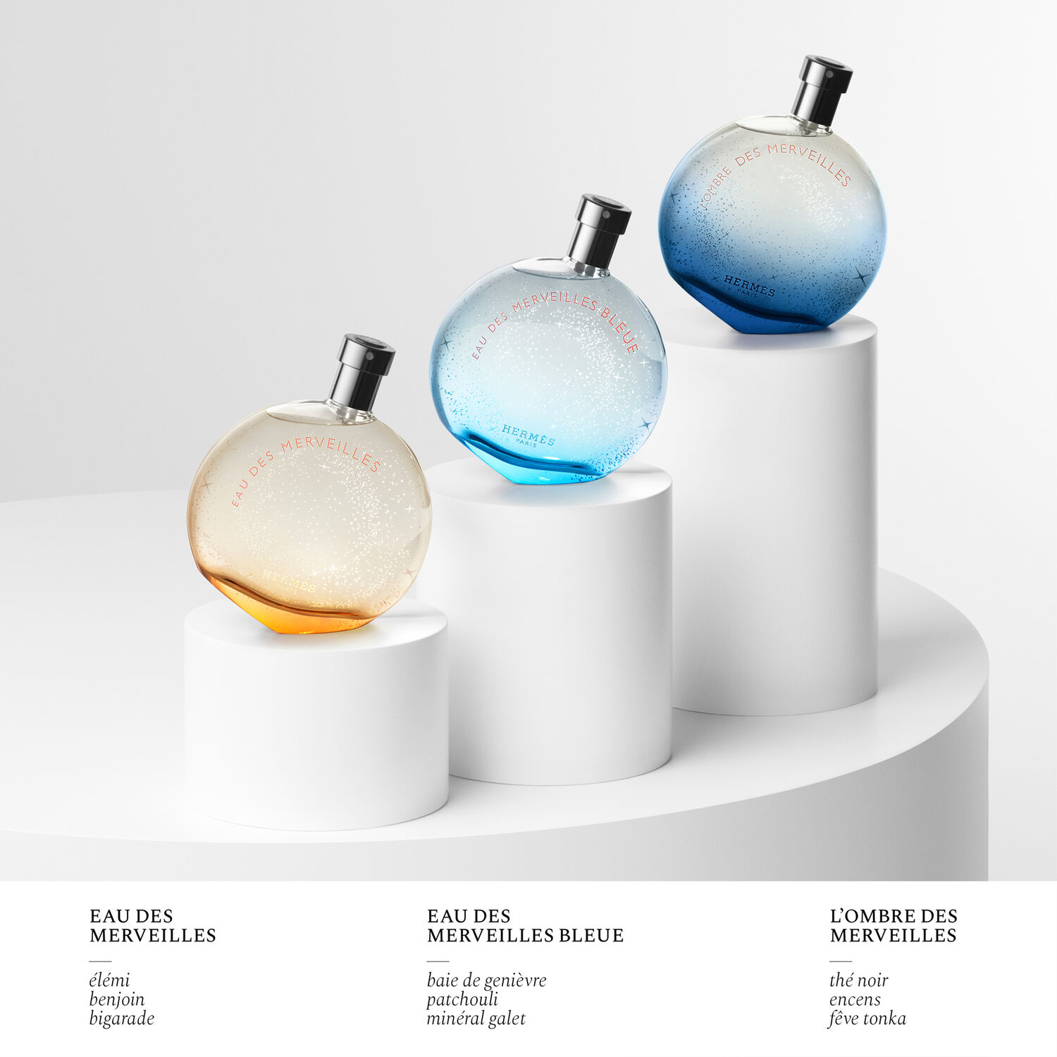 Hermès Eau des Merveilles Eau de Toilette